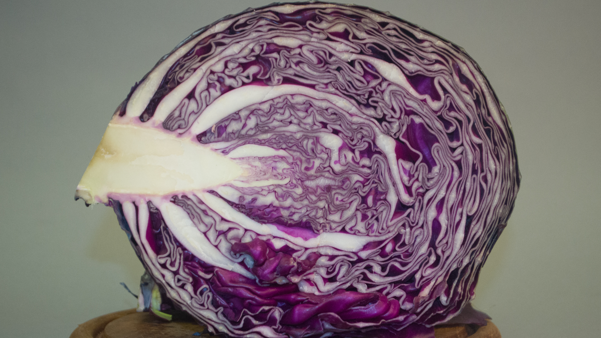 rotkohl-aufgeschnittenU5D4B2JUoXqJa