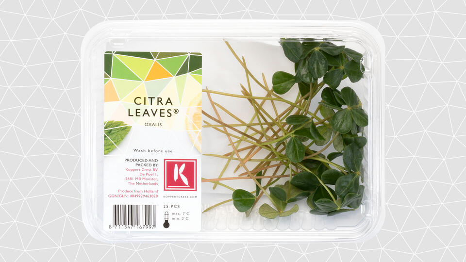 leaves-citra-leaves-tray-16-9 Citra Leaves Oxalis