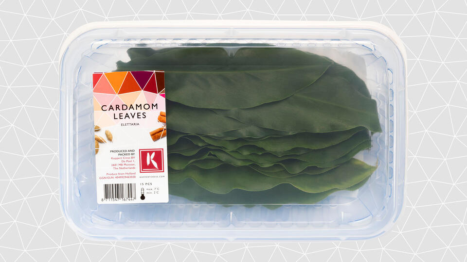 leaves-cardamom-leaves-tray-16-9