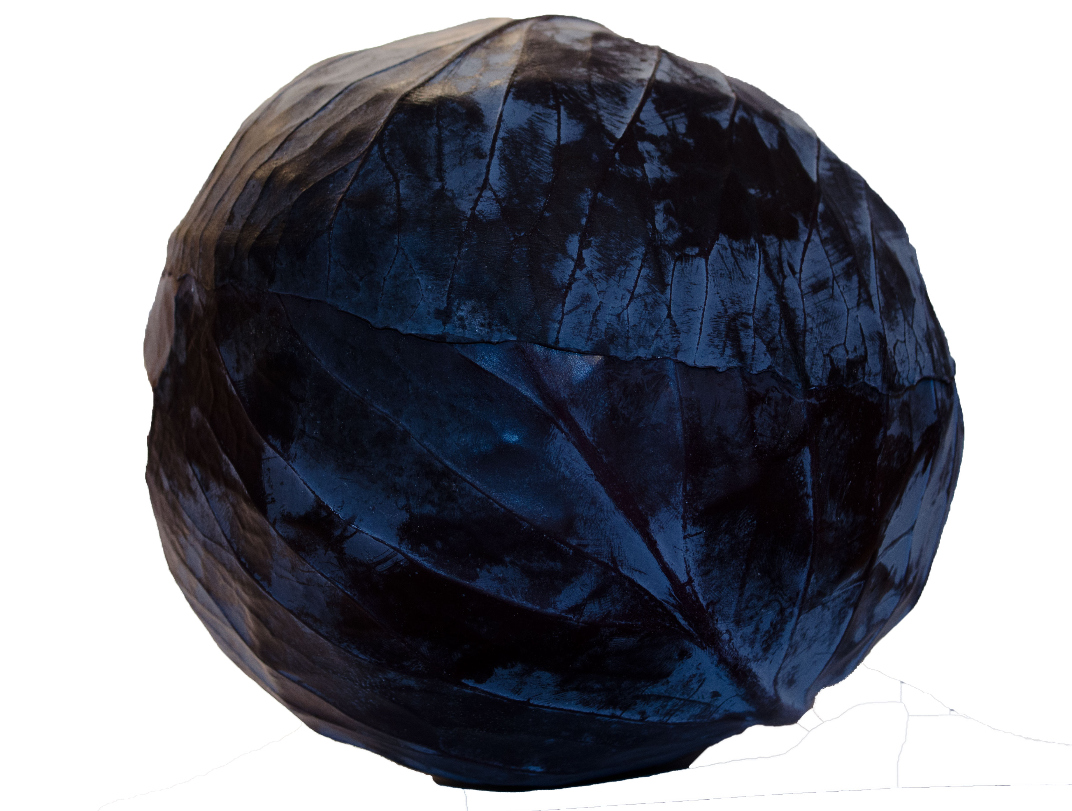 Bio-Rotkohl