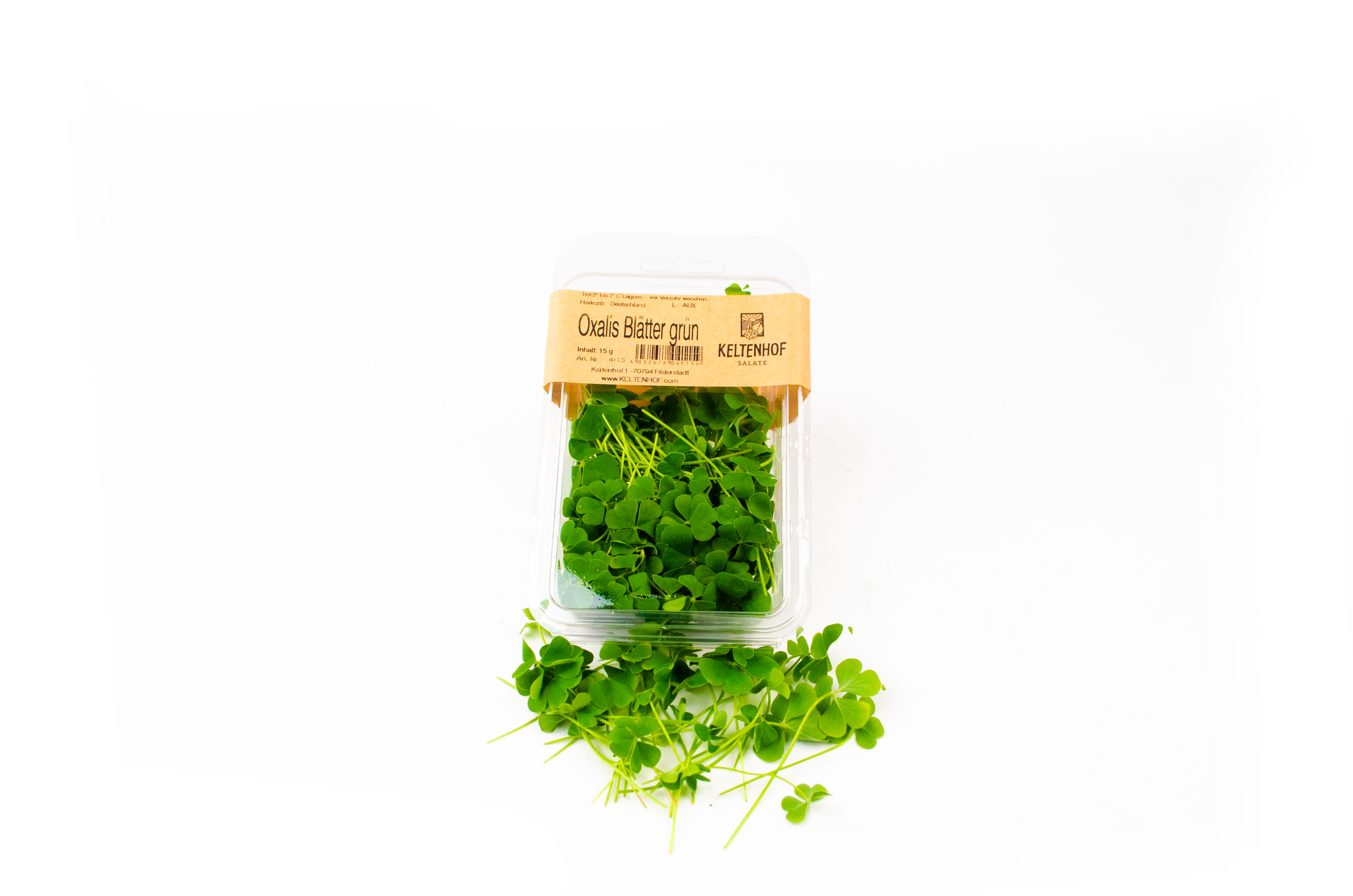 Oxalis-Bl-tter-gr-n Oxalis-grün