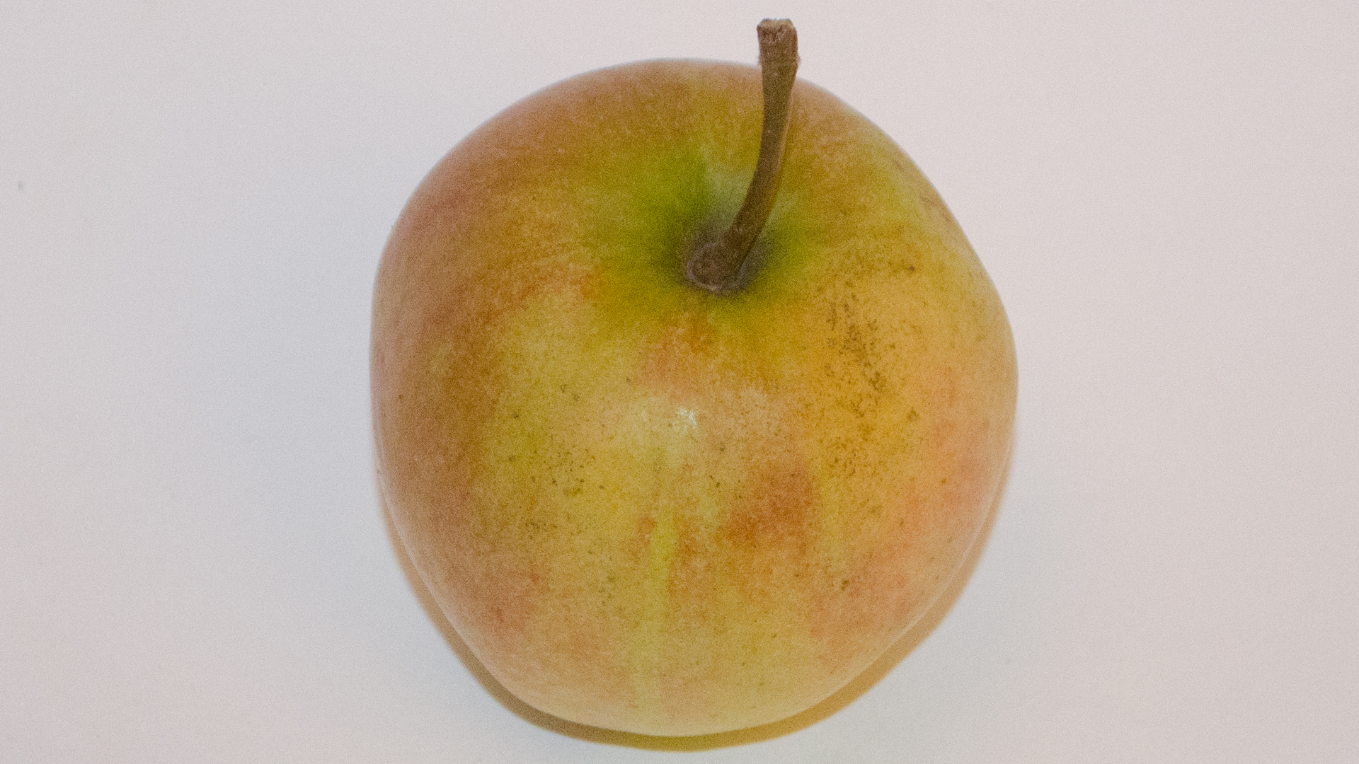Apfel-Saporavi9NGCoXiGx5y Apfel Sapora Kiste
