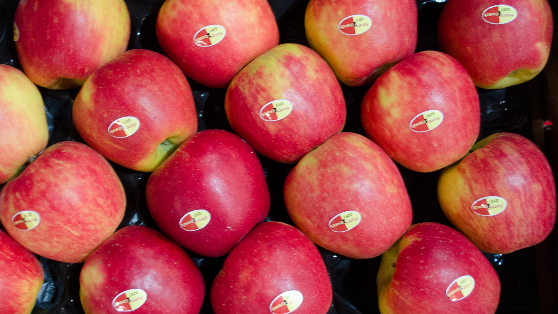 apfel-honeychrunch-kiste