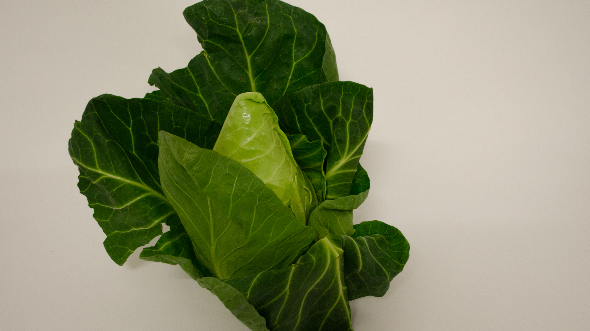 Spitzkohl Spitzkohl Kiste