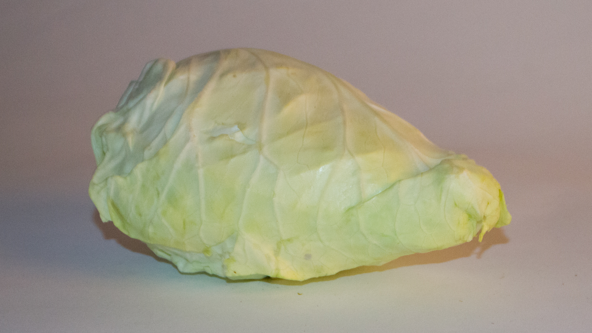 Spitzkohl-Gesamtaufnahme-von-der-Seite