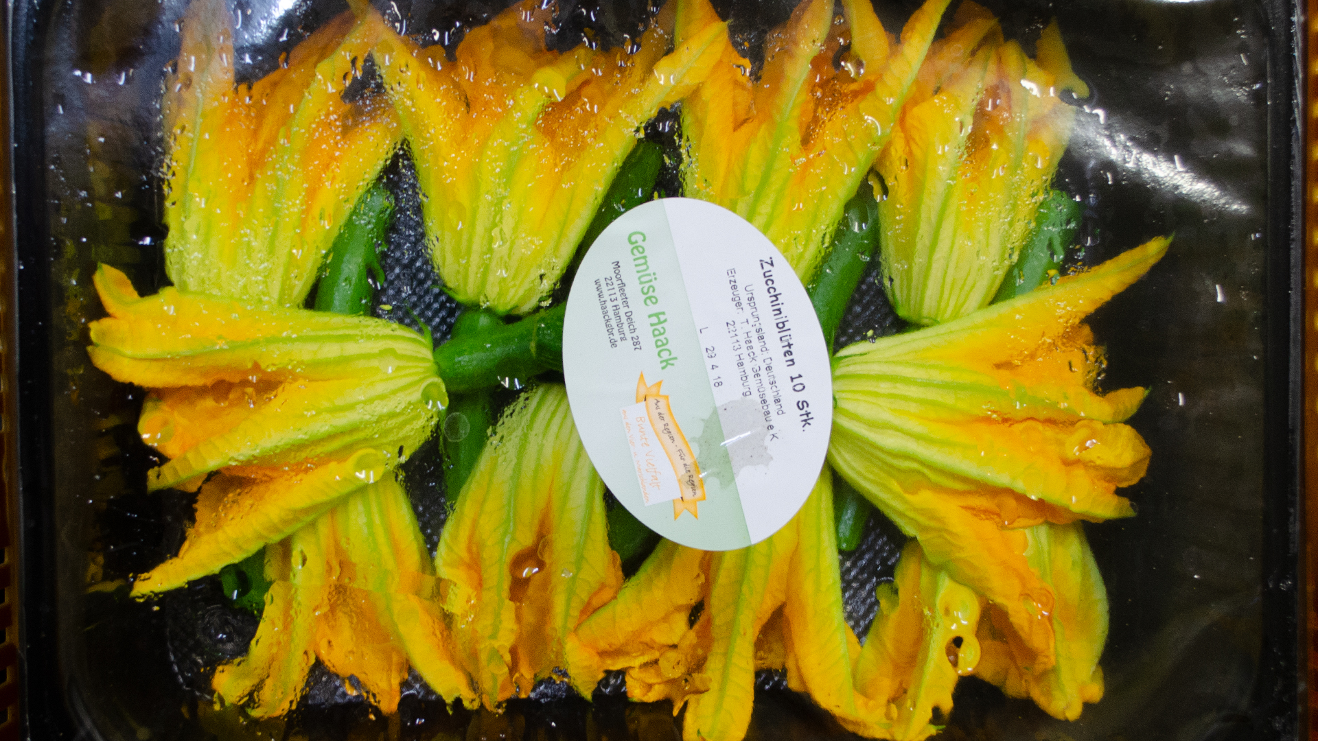 Zucchini-bl-ten-essbar-kiste-norddeutschland Zucchini Blüten