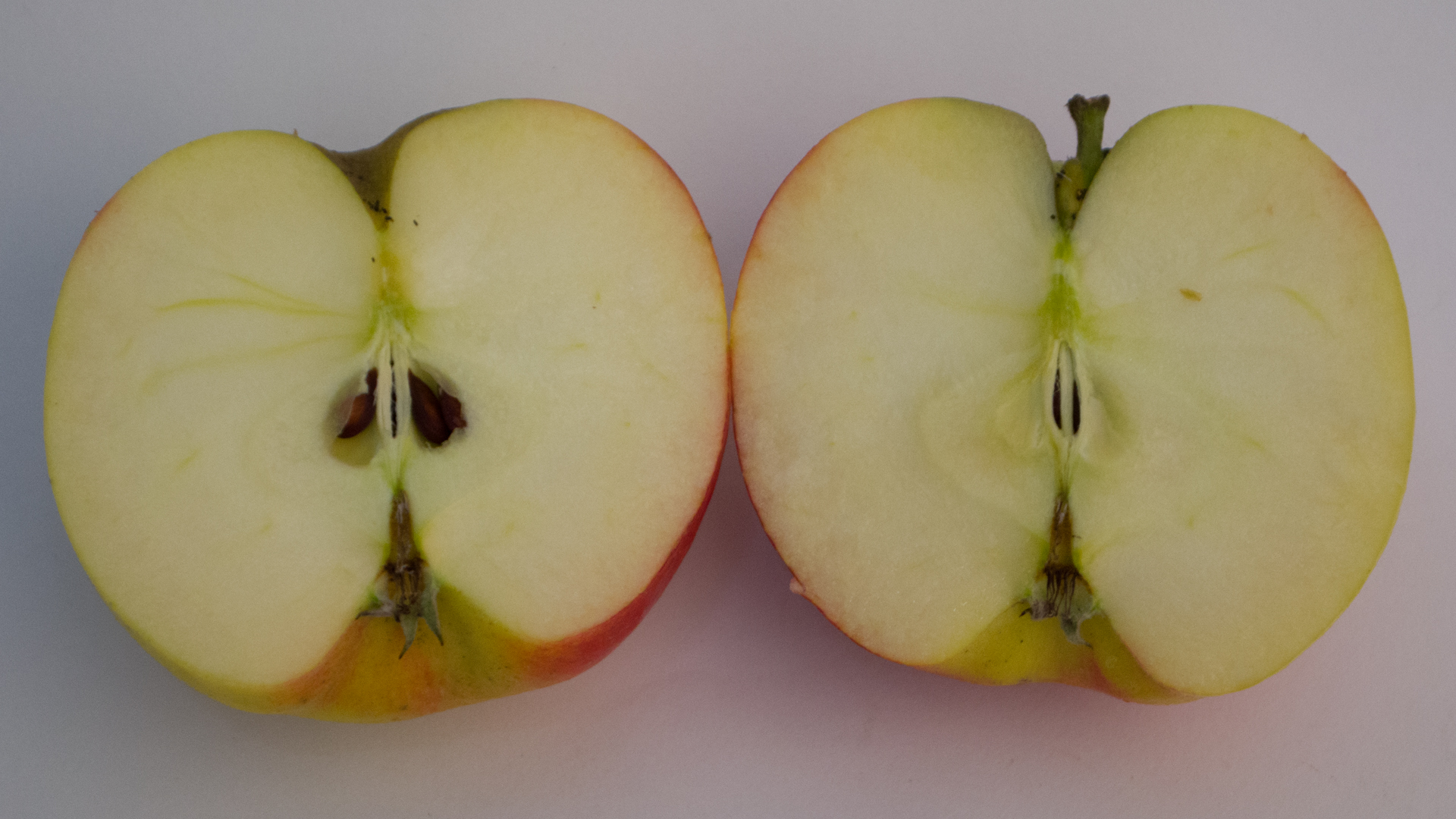 Junami-Apfel Apfel Junami Milwa 11kg Kiste