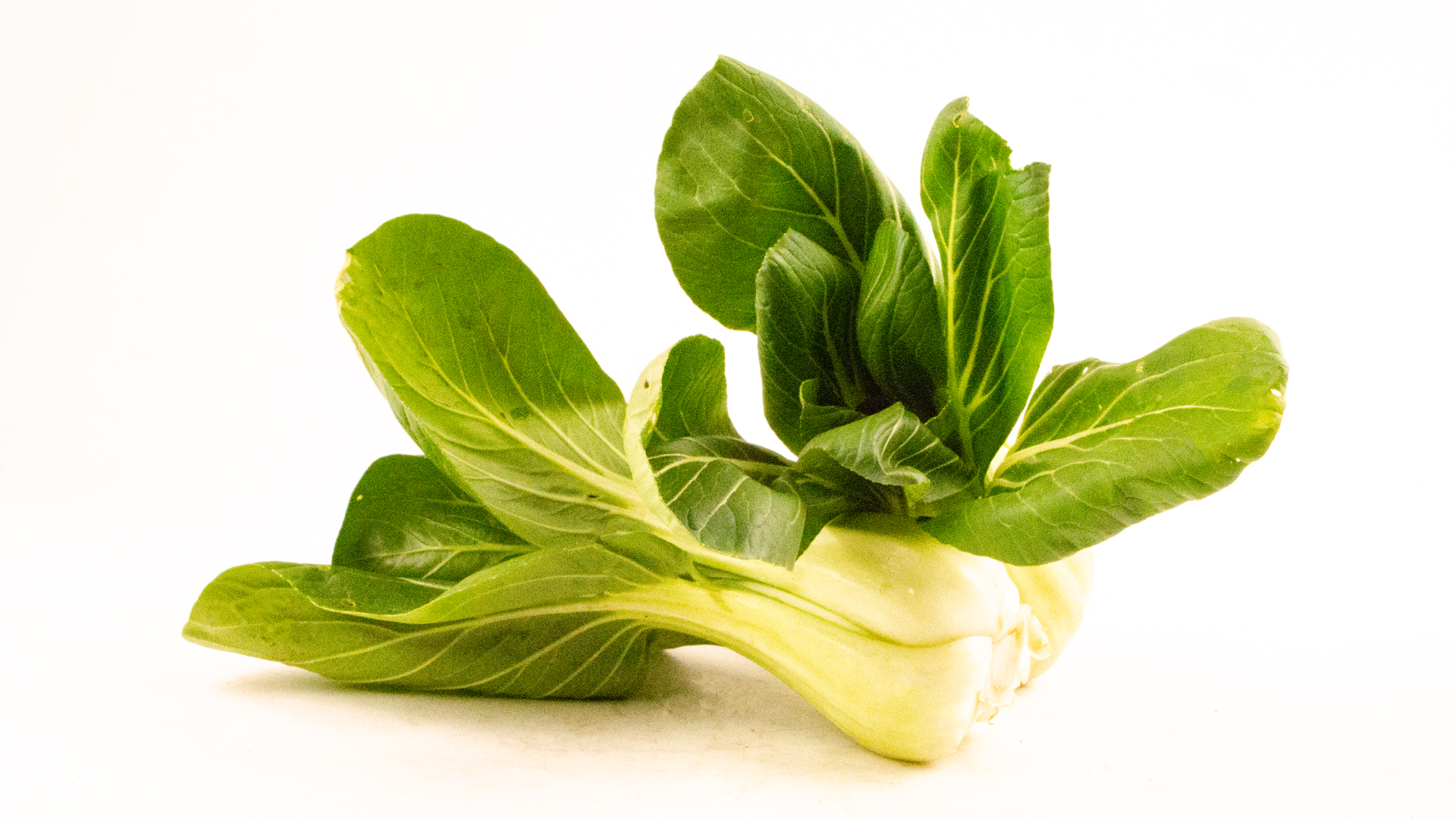 Pak-Choi-2 Pak Choi