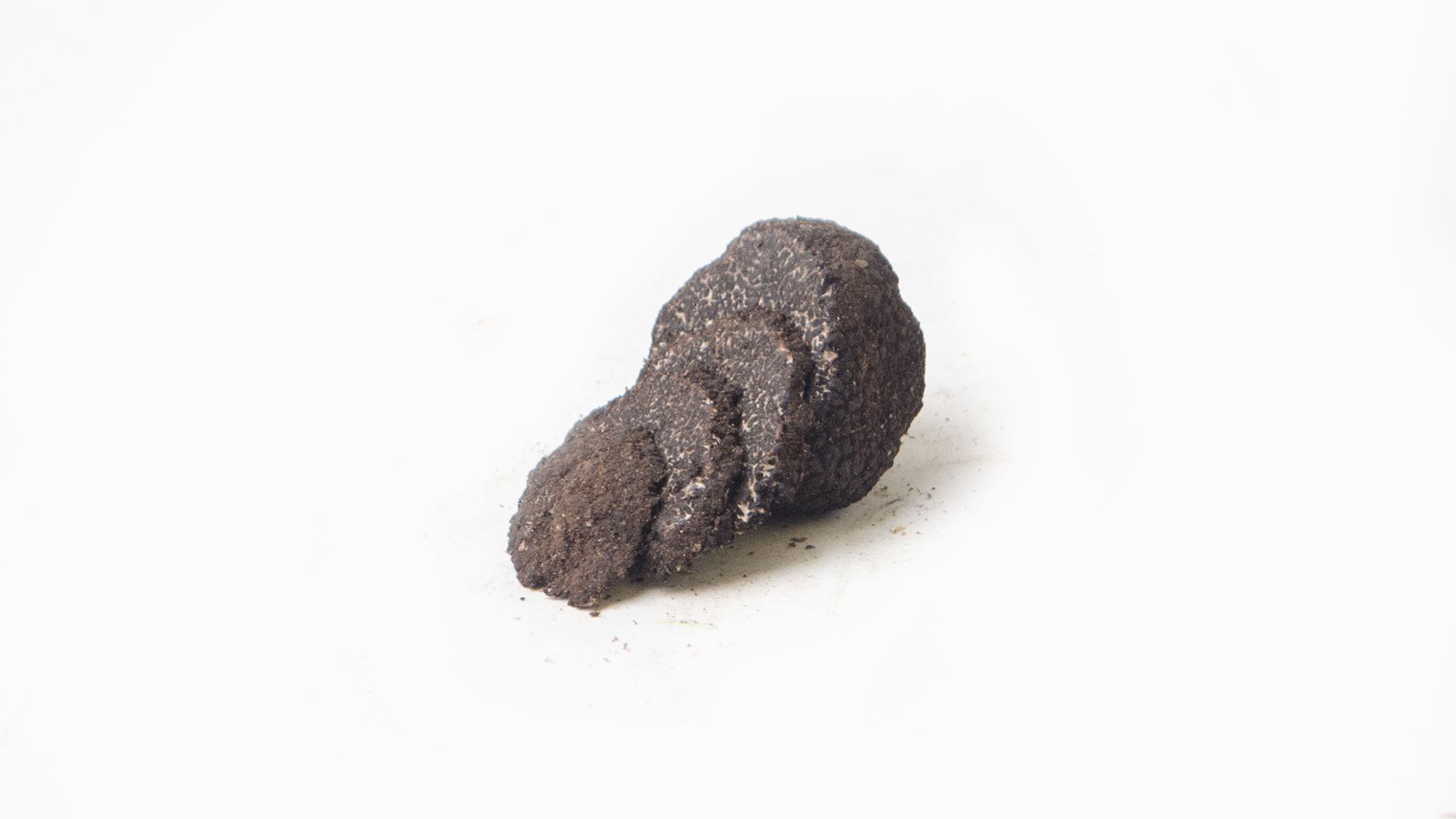 schwarzer-tr-ffel Schwarzer Trüffel