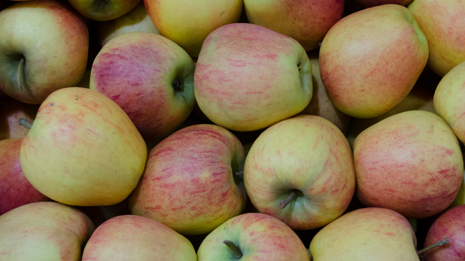 apfel-civni-norddeutschland Apfel Civni Kiste