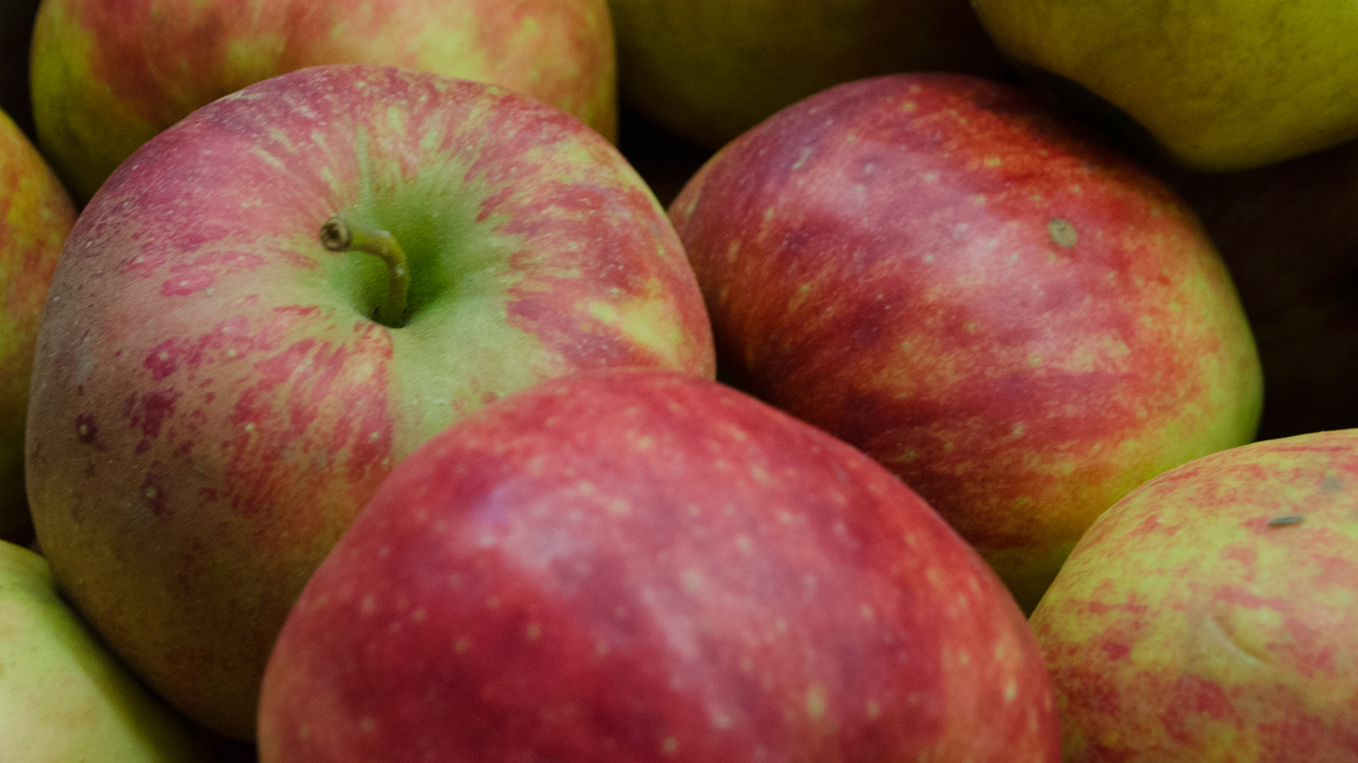 bio-apfel-rubinette-deutschland Bio Apfel Rubinette