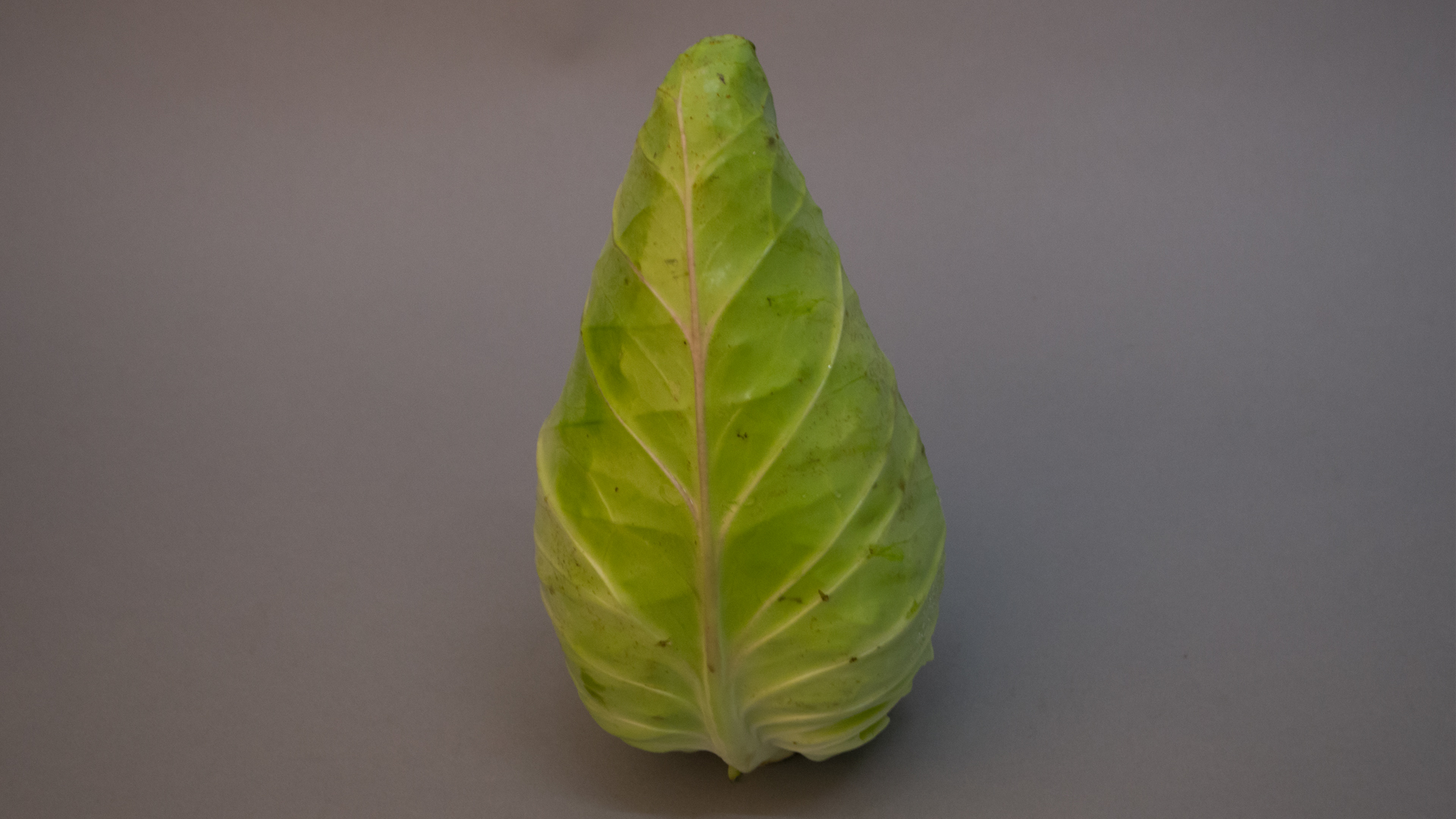 spitzkohl