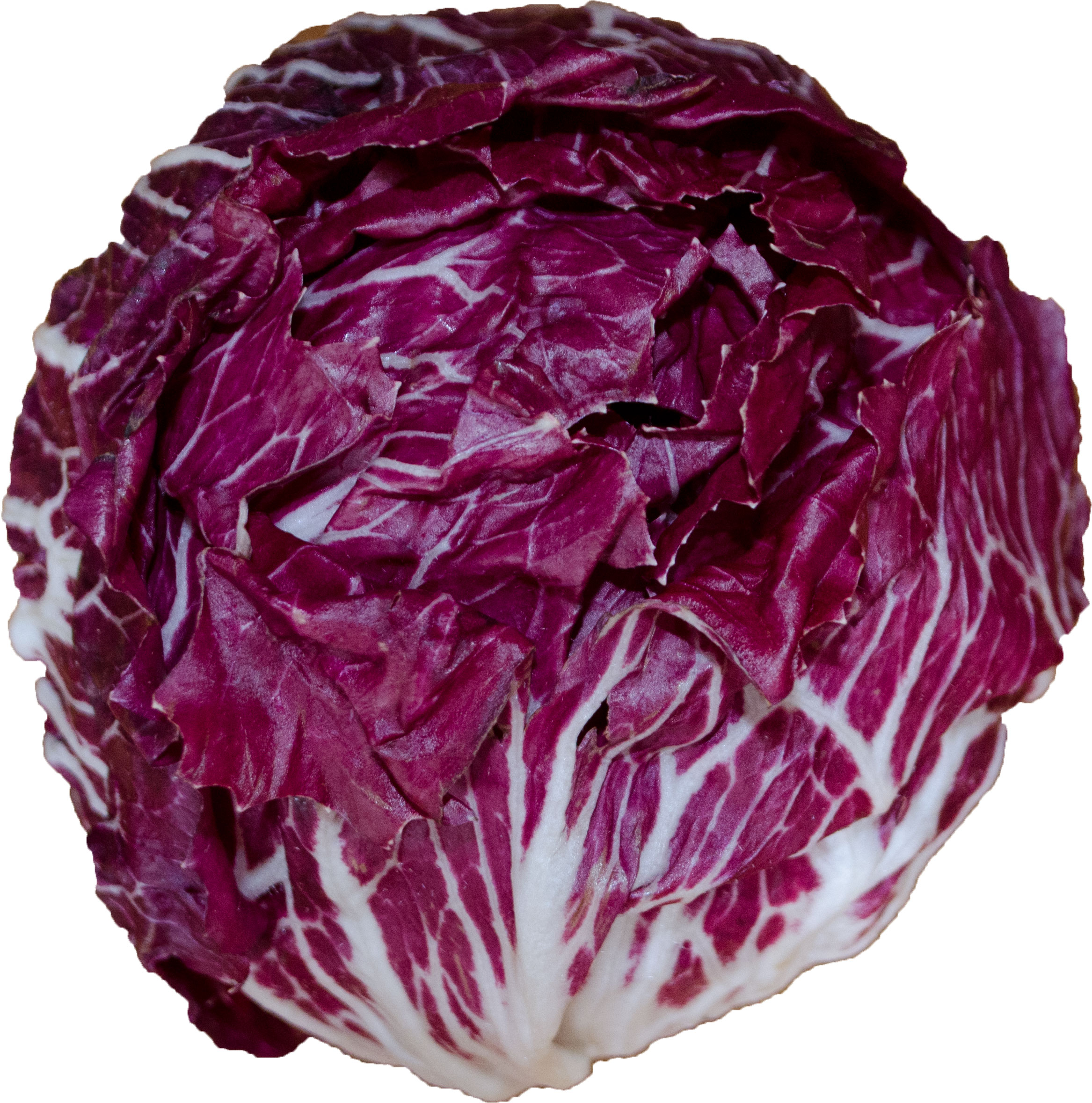 raddichio-salat-bestellen