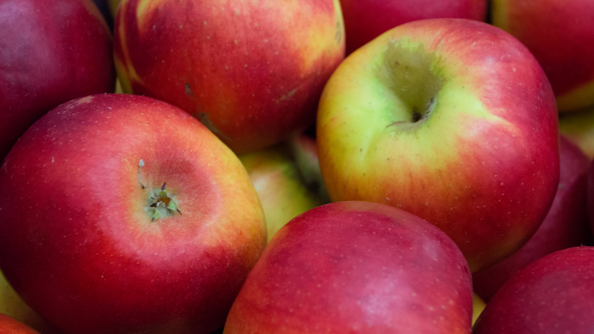 Apfel-Junami-Milwa Apfel Junami Milwa