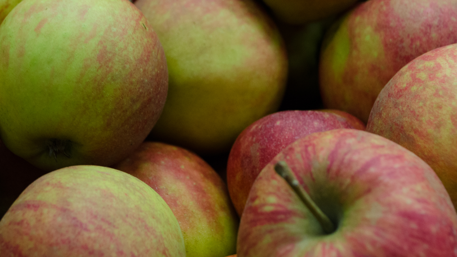 bio-apfel-boerrekamp