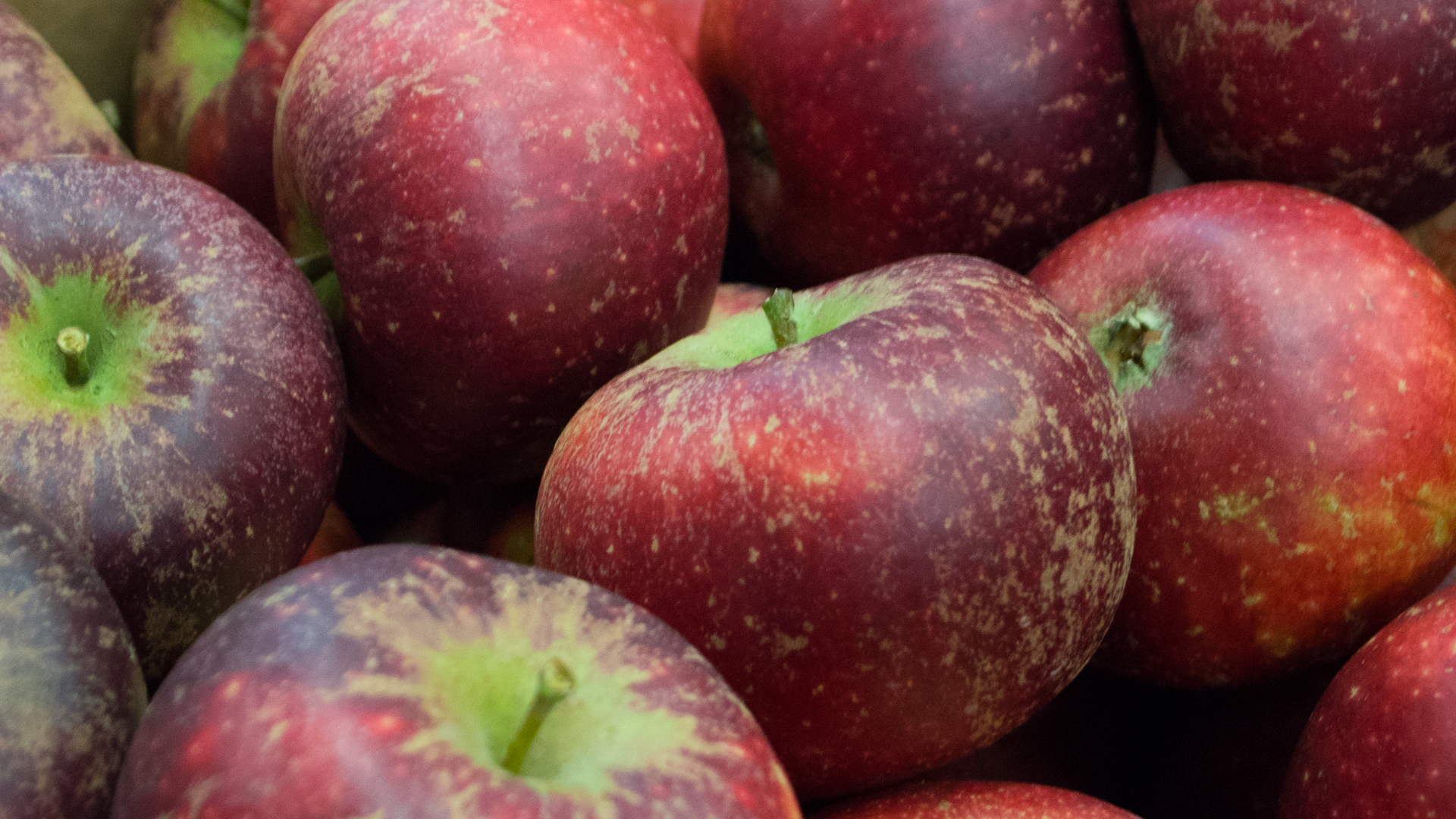 bio-apfel-ingrid-marie-kiste