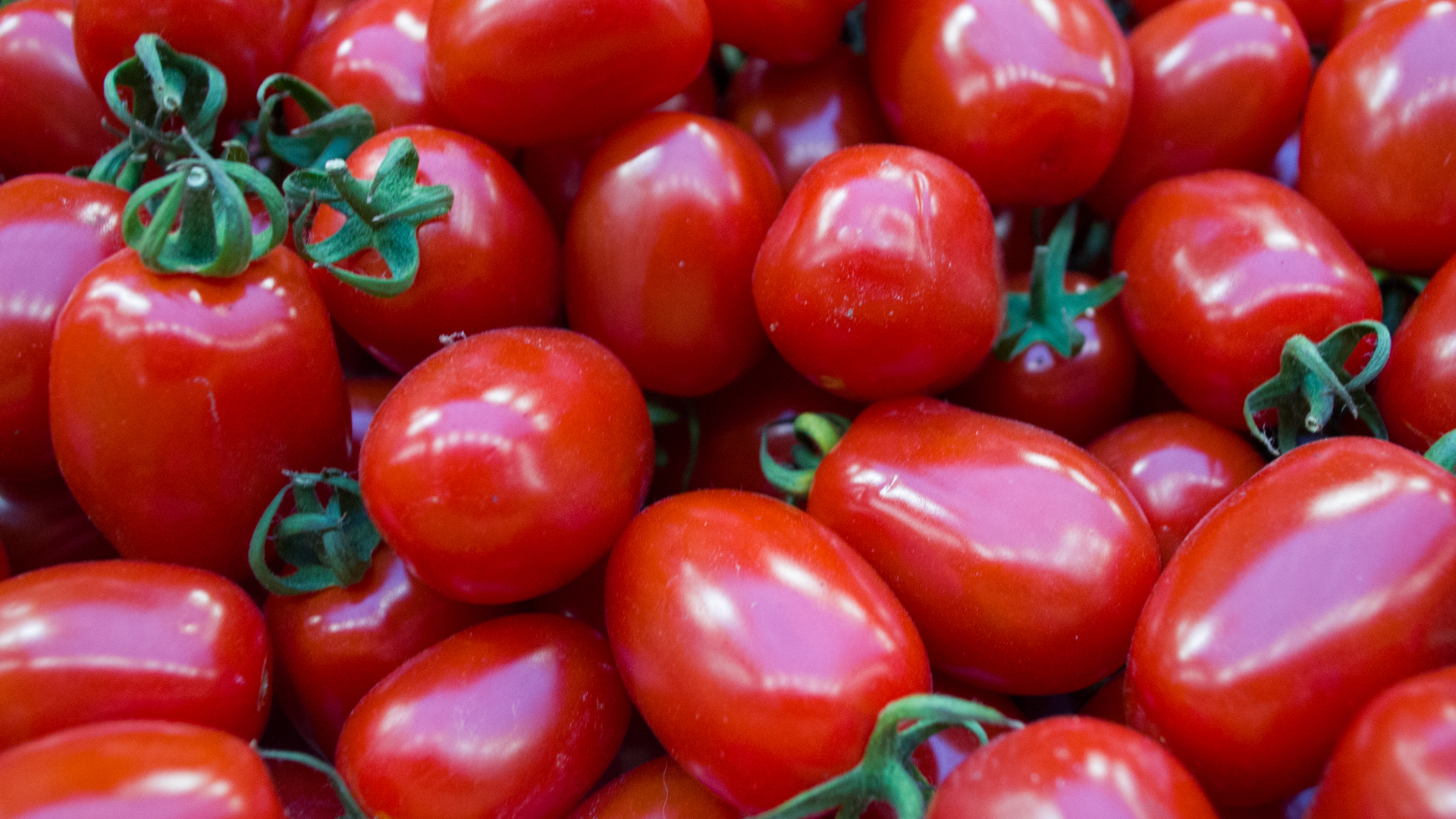 Dattel Cherry Tomaten lose - Deutschland