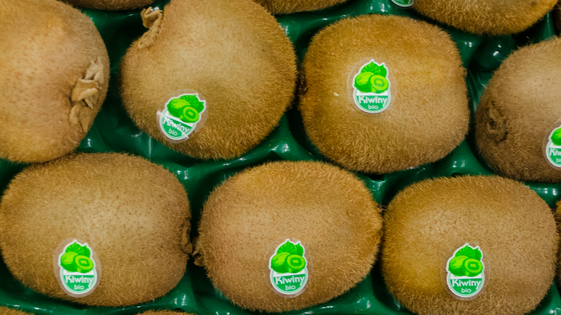 Bio-Kiwi