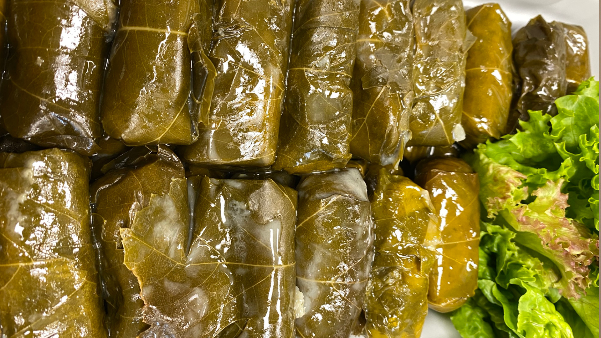 Weinblätter gefüllt Buffet Weinblätter gefüllt Buffet