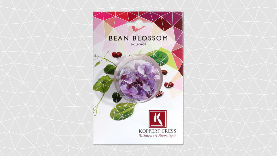 cupcards-bean-blossom-16-9