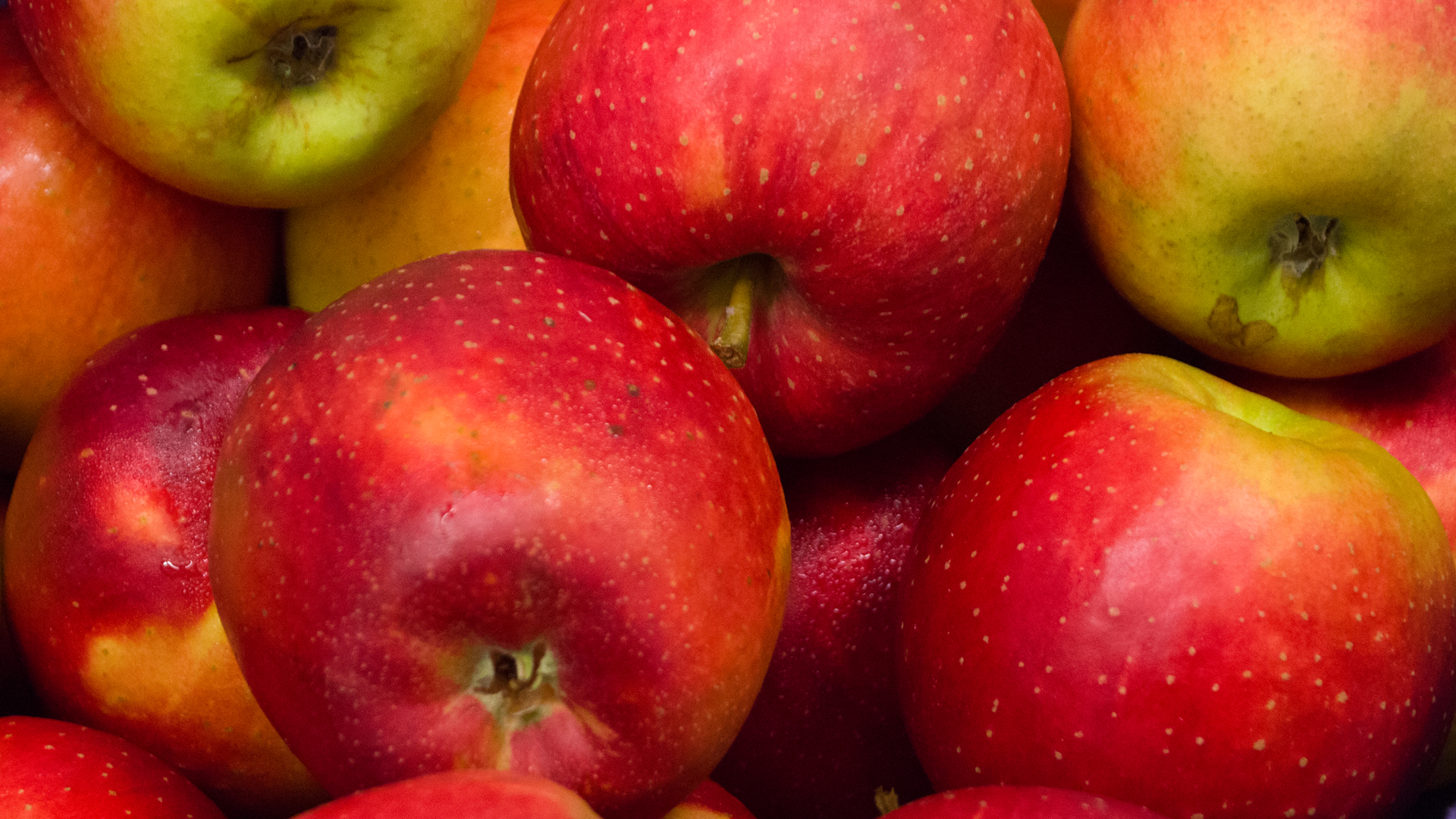 apfel-wellant-kiste-deutschland