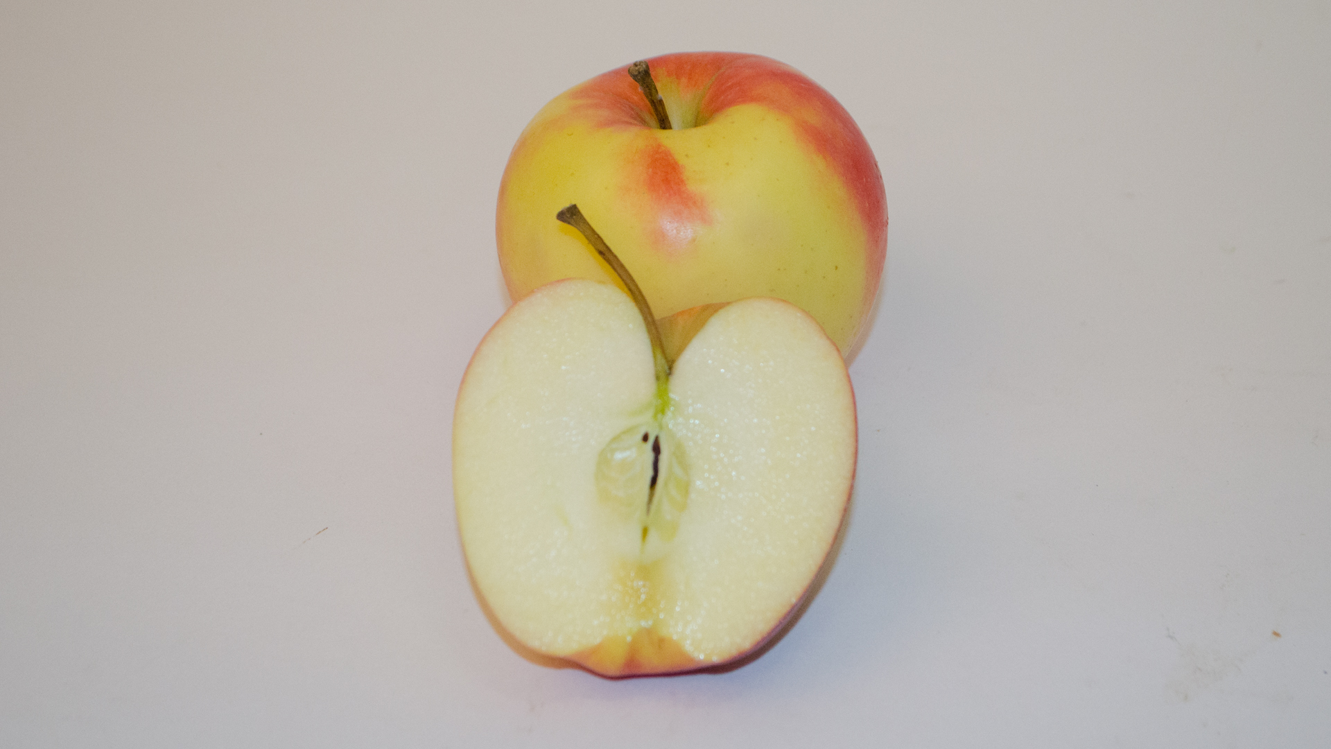 apfel-gala-deutschland-stueck